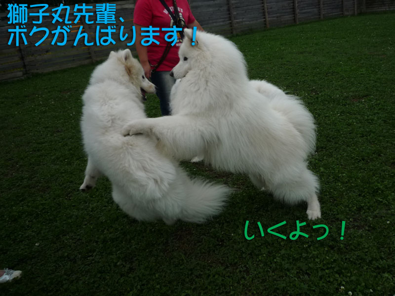 b0146024_14553823.jpg