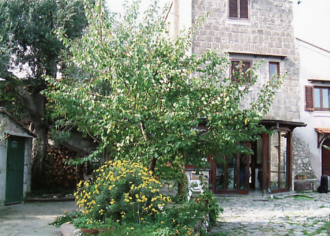 d0147727_18412374.jpg