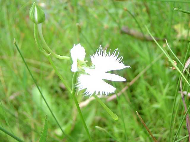 c0127029_2024322.jpg