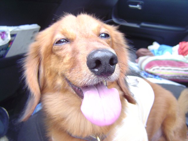 c0127029_20302516.jpg