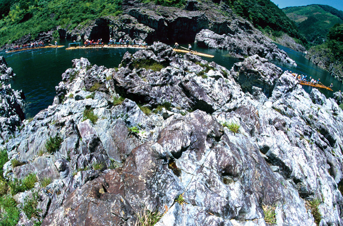 d0147530_4523755.jpg