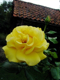 f0165831_5102078.jpg