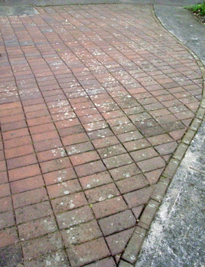 f0165831_57248.jpg