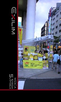 d0044736_159404.jpg