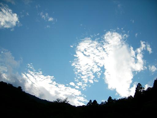 d0079936_239473.jpg