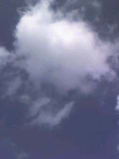 f0124642_9453772.jpg