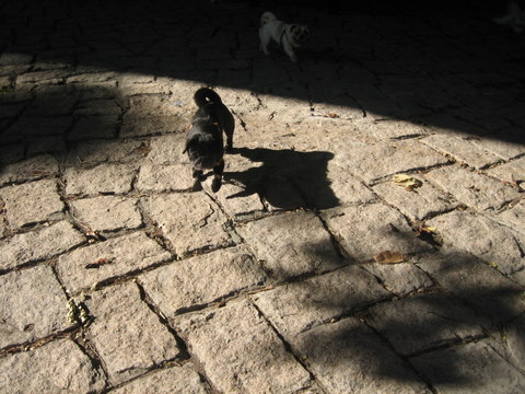e0018143_2443336.jpg