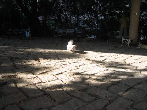 e0018143_2454850.jpg
