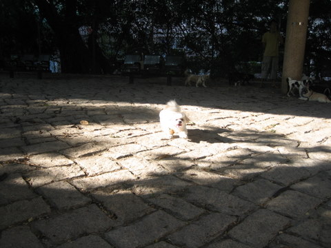 e0018143_2455957.jpg