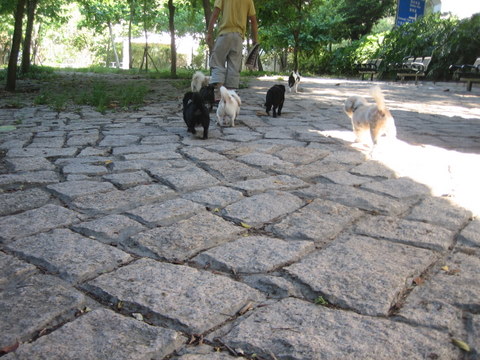 e0018143_2505636.jpg