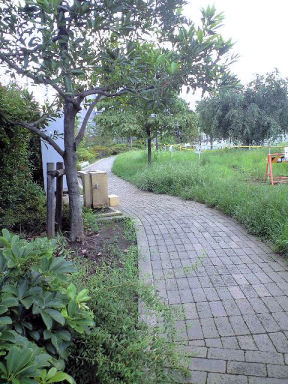 c0033145_16313817.jpg