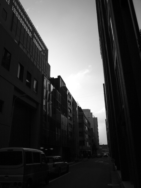 a0082546_051195.jpg