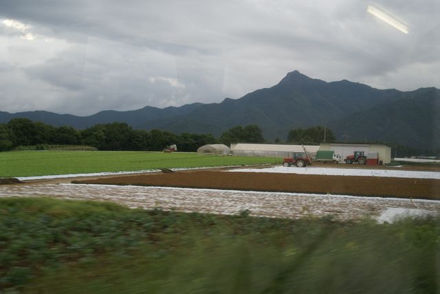 a0046748_7523013.jpg