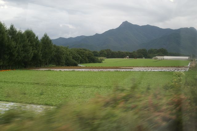 a0046748_7525772.jpg