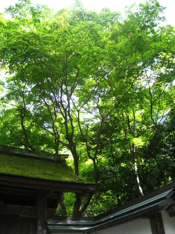 e0121753_23165589.jpg