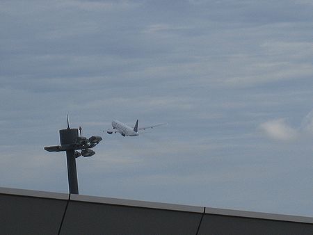 c0074156_9391025.jpg