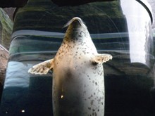 b0159557_114371.jpg