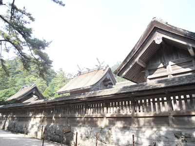 b0068959_17511016.jpg
