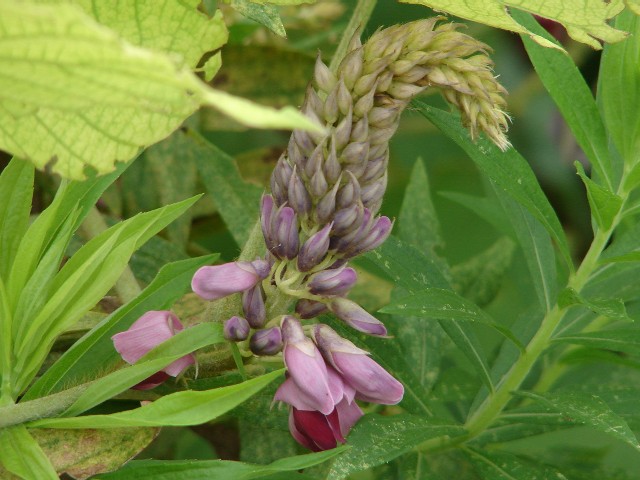 b0061261_21393360.jpg