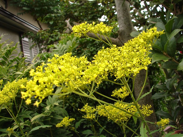 b0061261_21394174.jpg