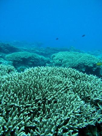 b0062363_711837.jpg