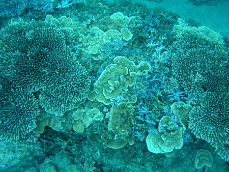 b0062363_713424.jpg