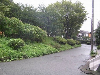 b0145863_21393677.jpg