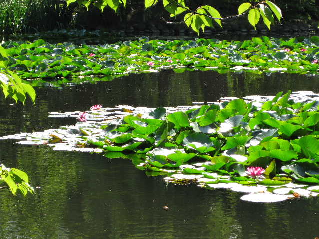 c0148165_22515639.jpg