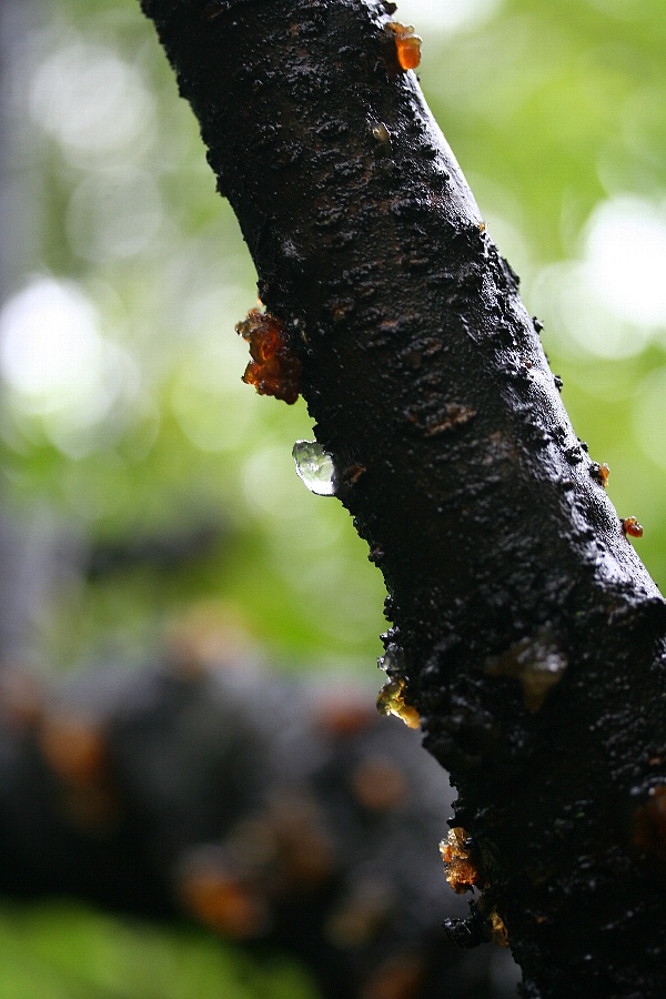 b0084270_22191832.jpg