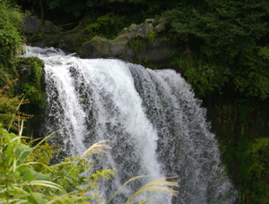 b0117170_17165514.jpg