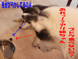c0161772_15233198.jpg