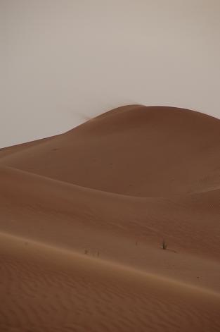 e0066474_20573954.jpg