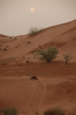 e0066474_2134680.jpg