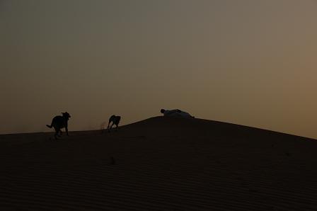 e0066474_2144591.jpg