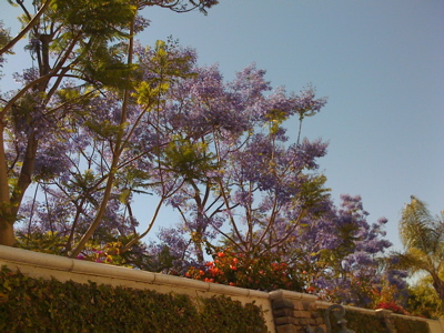 f0174481_3584149.jpg