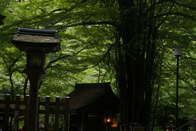 b0080789_23314496.jpg
