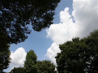 e0121589_15322174.jpg