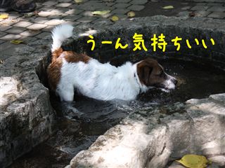 e0121589_15415618.jpg
