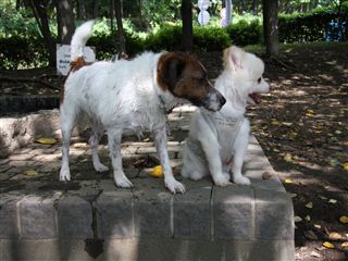 e0121589_15431979.jpg