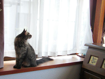 e0019594_21155221.jpg