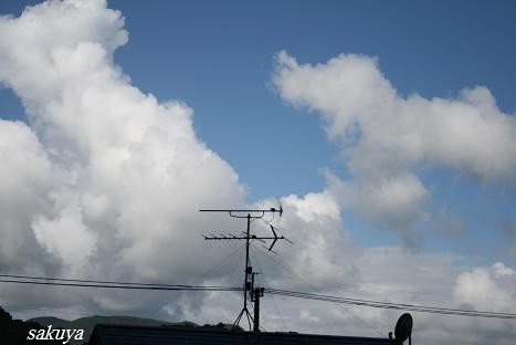 e0122194_20592219.jpg