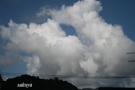 e0122194_205932.jpg
