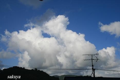 e0122194_20595868.jpg