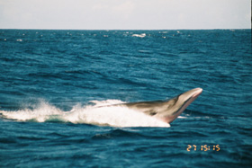 f0048405_9515521.jpg