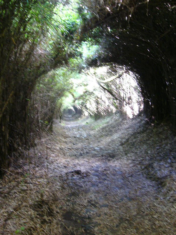 e0015108_22384371.jpg