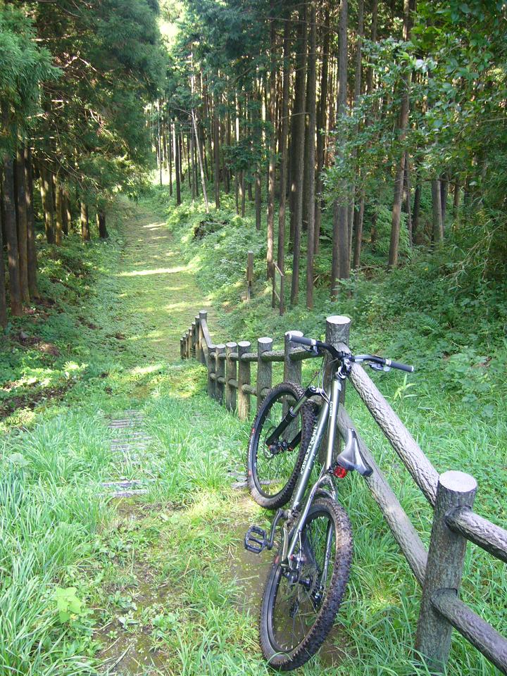 e0015108_22393410.jpg