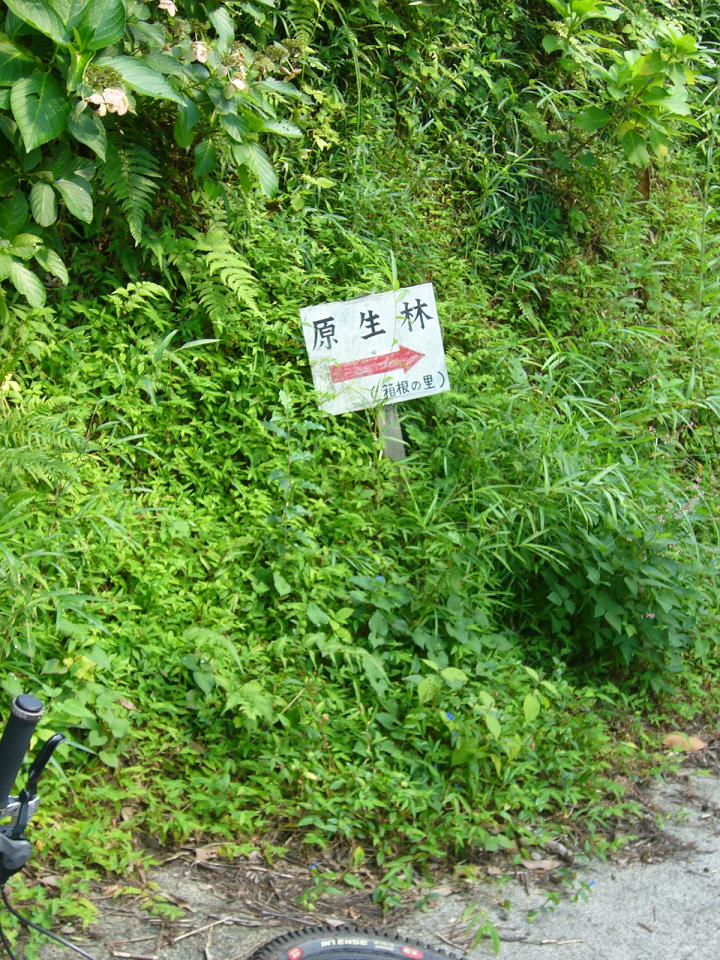 e0015108_22411749.jpg