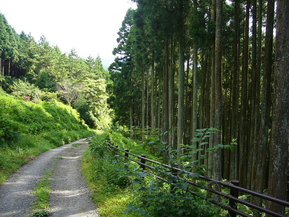 e0015108_22413428.jpg