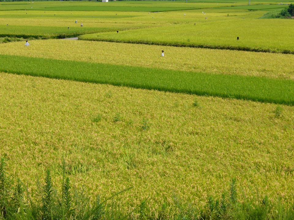 e0015108_22463213.jpg