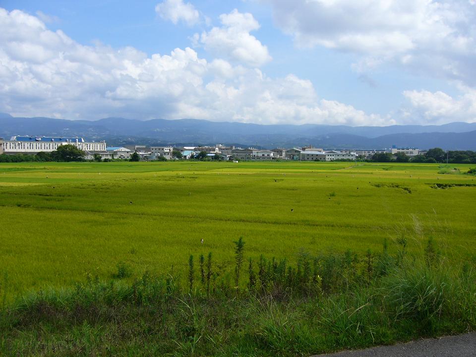 e0015108_22465919.jpg